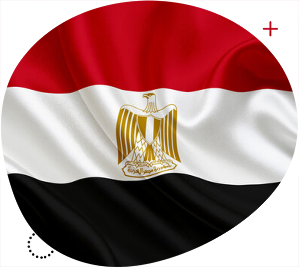 الموافقات إلى مصر